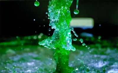 Perché Spirulina LYO è innovativa