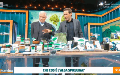 Perché pigmento è innovativa